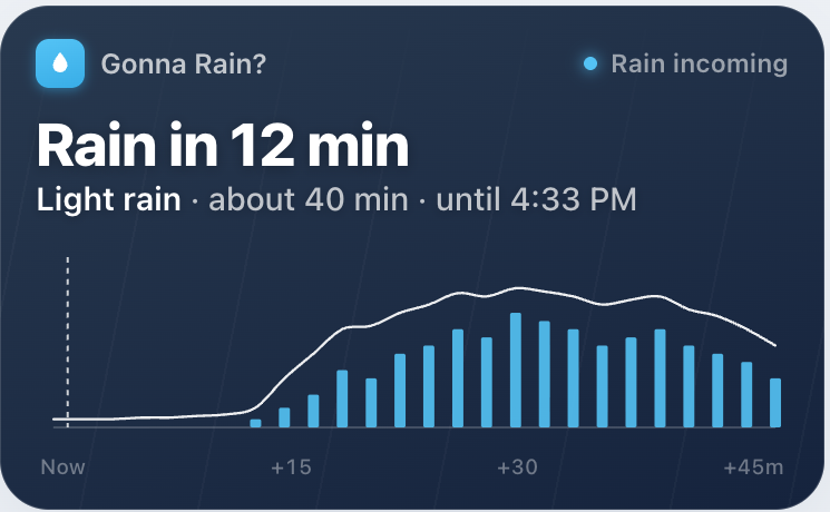 the app's own chart, miniaturised